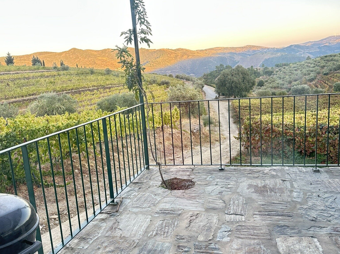 Quinta do Monte Travesso-Tabuaco必去景点