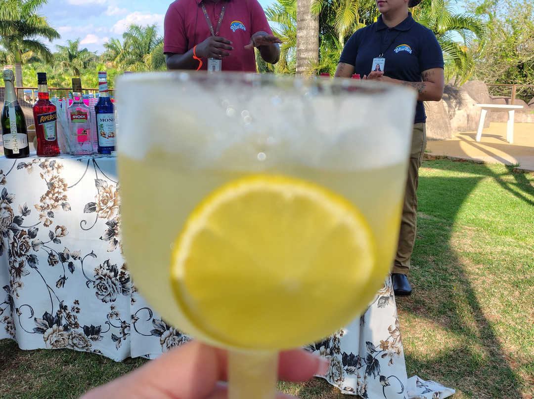 Blue Park Aquático-伊瓜苏必去景点