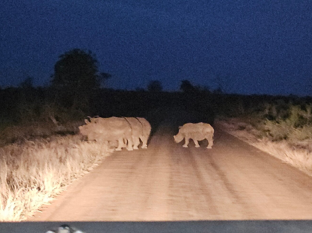 Royal Safaris-库马堤港必去景点