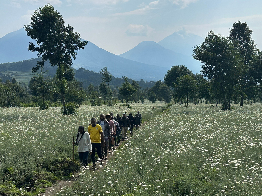 INZOZI Tours-吉佳利必去景点
