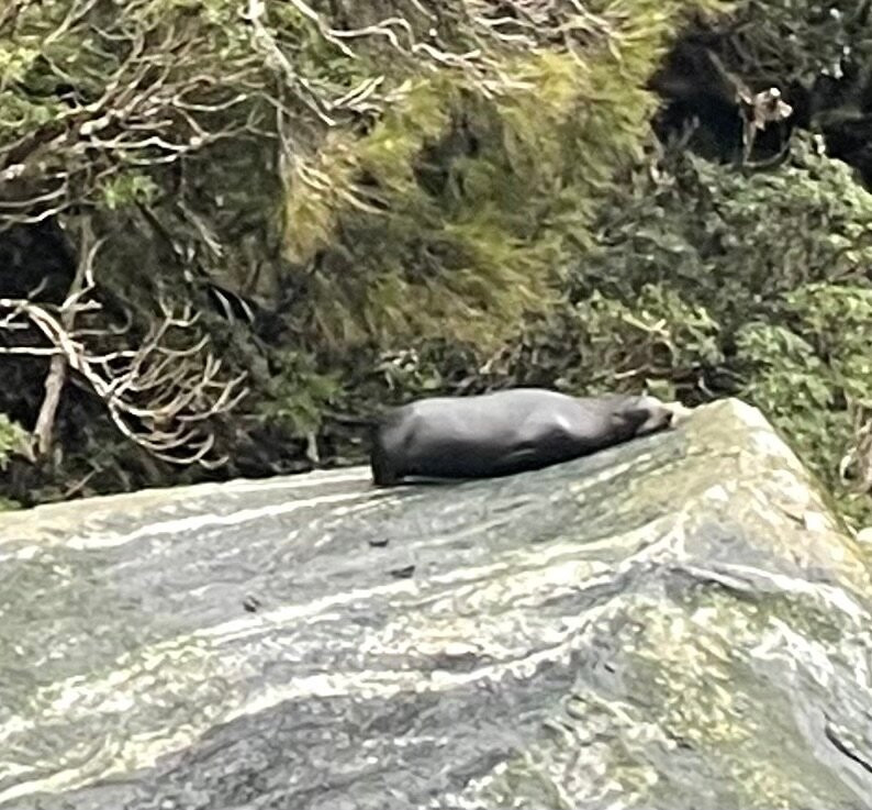 Real Journeys-皇后镇必去景点