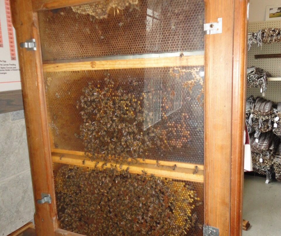 Dutch Country Market-Middlebury必去景点