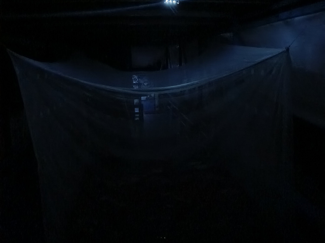 Yobel Alam Tours Orangutan Tanjung Puting-Pangkalan Bun必去景点