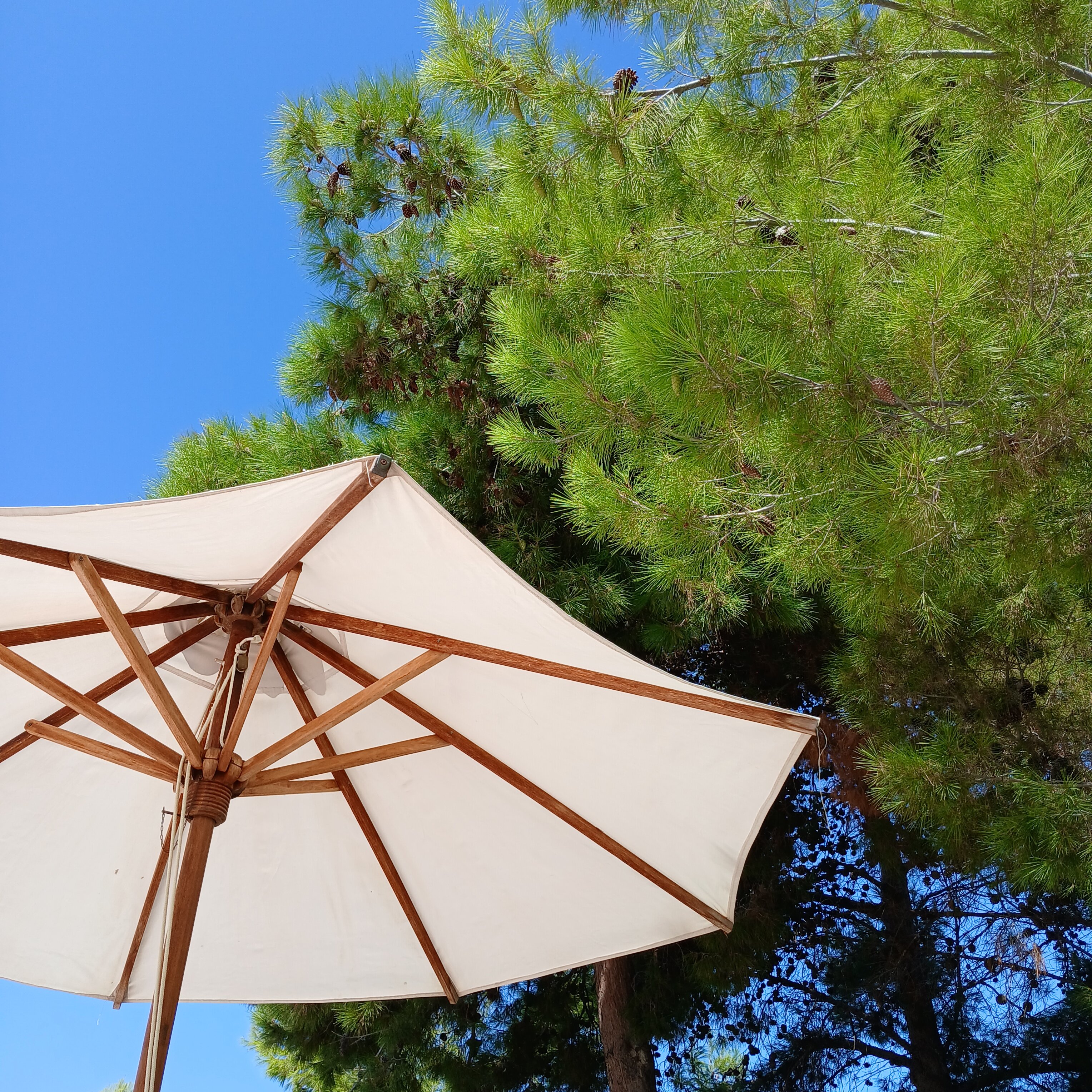 Enalion Suites-官方