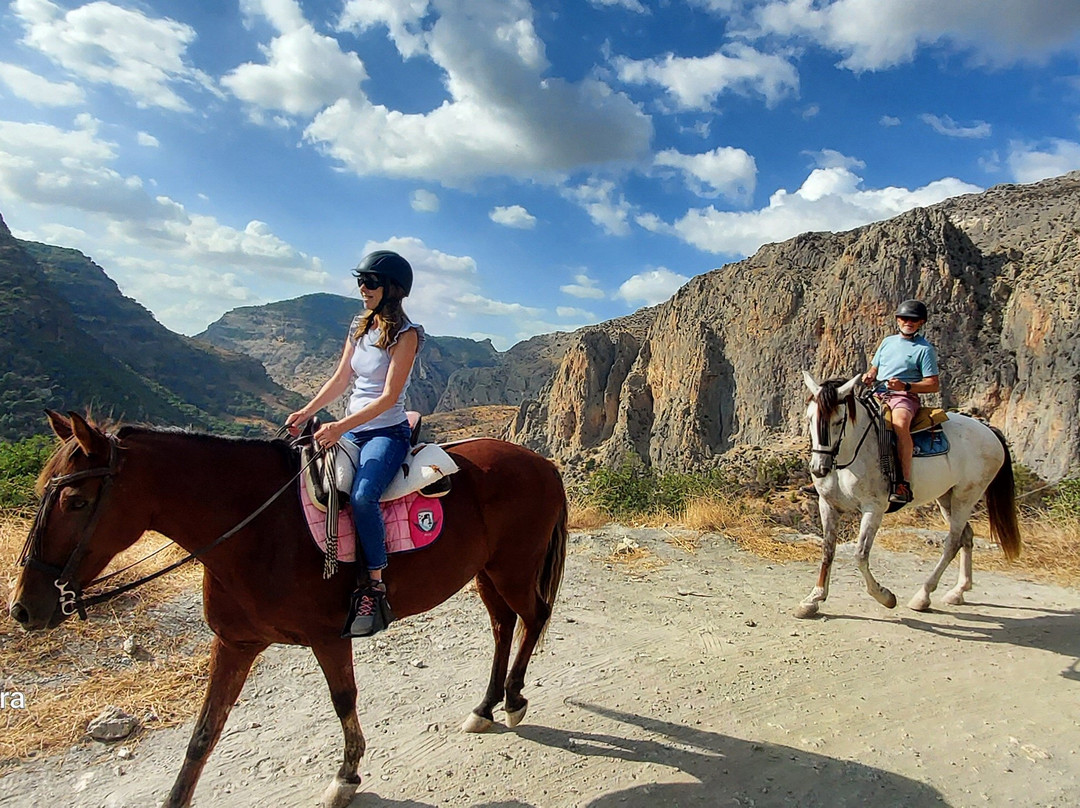 Horse Riding El Chorro-El Chorro必去景点