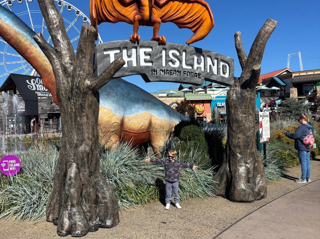 The Island in Pigeon Forge-皮金福奇必去景点