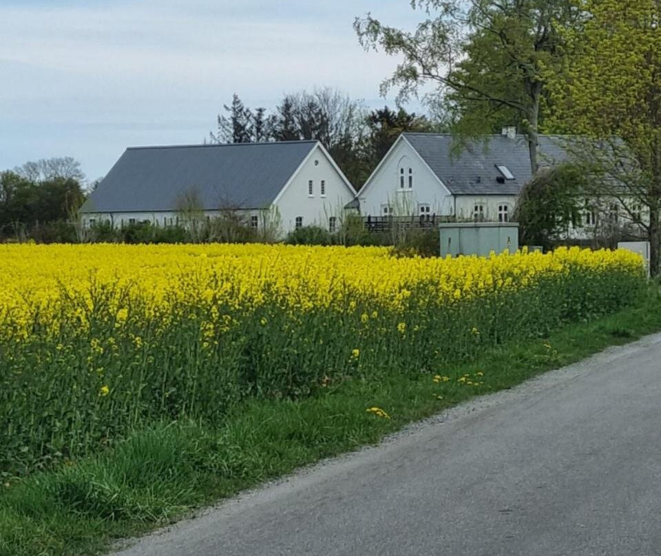 Birkelund Bnb