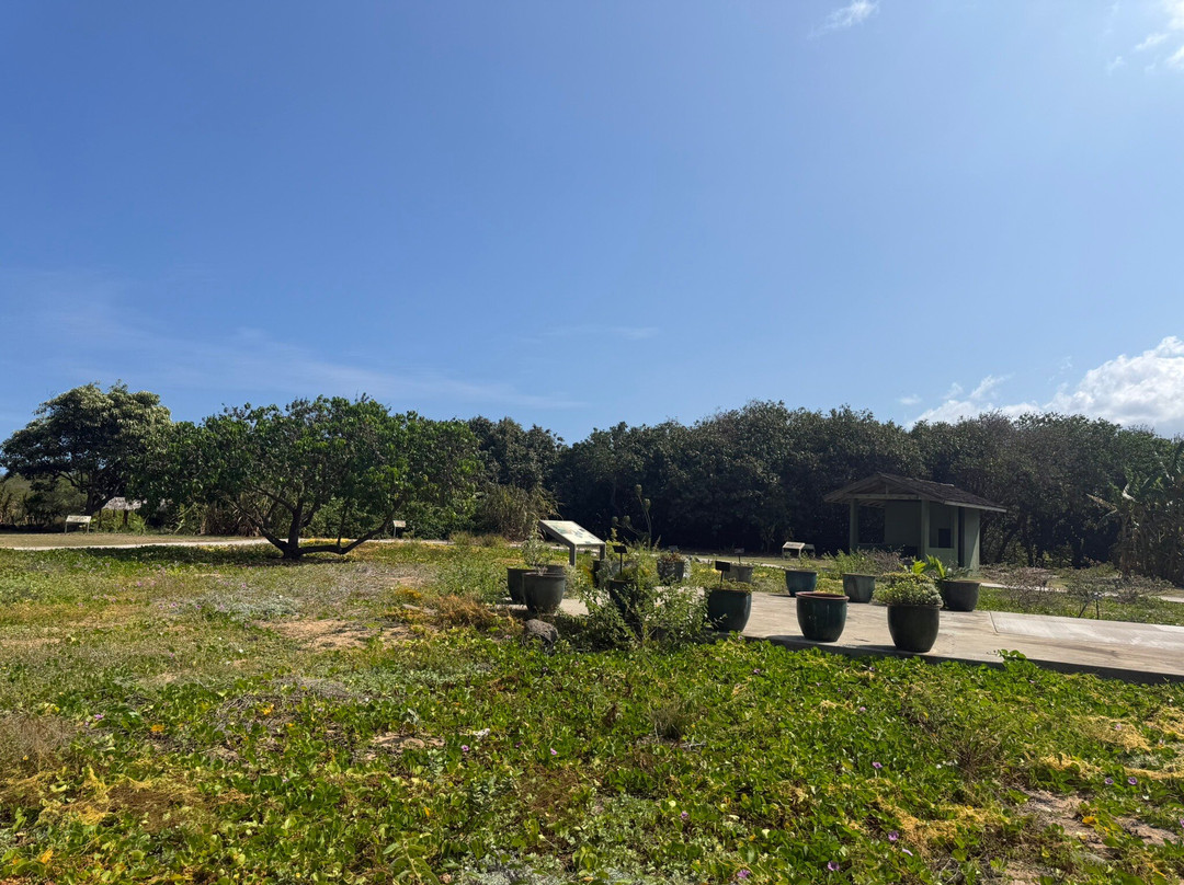Maui Nui Botanical Gardens-卡胡卢伊必去景点