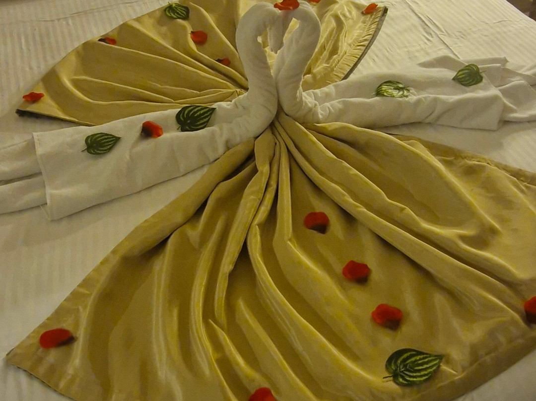 Sidemarin Kirman Premium主图