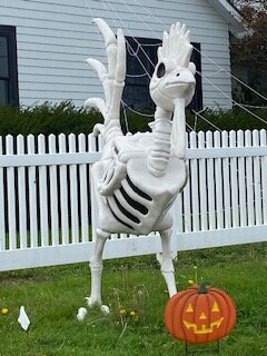 Higgins Beach-斯卡伯勒必去景点