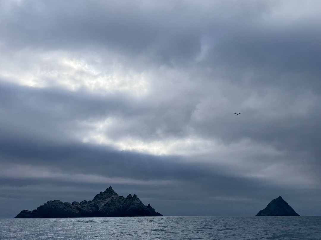 Skellig Michael Cruises-Portmagee必去景点