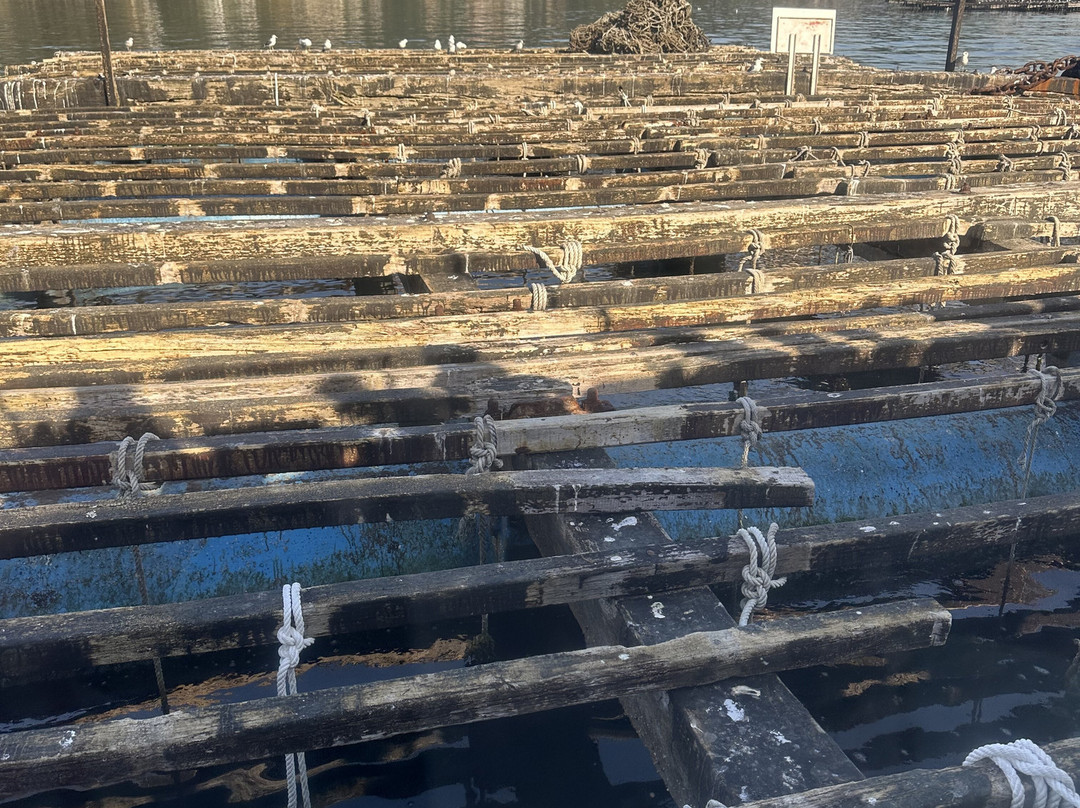 Cruceros Pelegrín-格罗韦必去景点