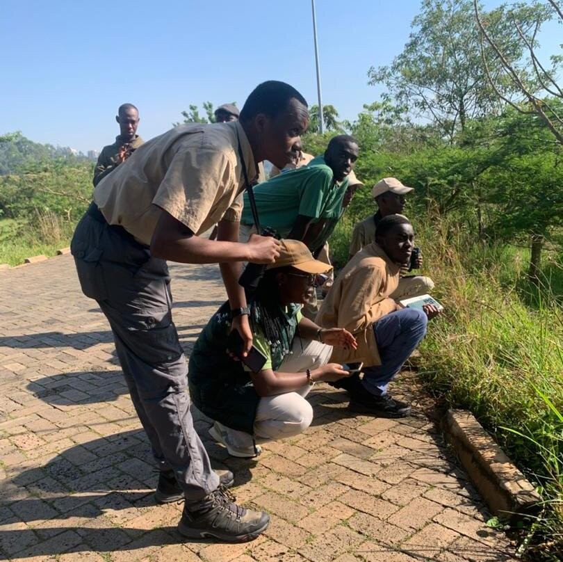 Nyandungu Eco-Park-吉佳利必去景点