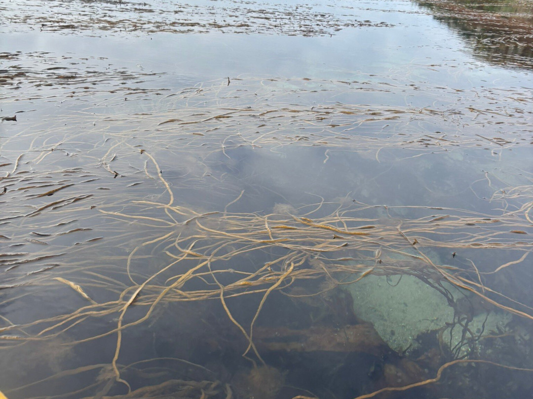 St Martin's Watersports-St Martin's必去景点