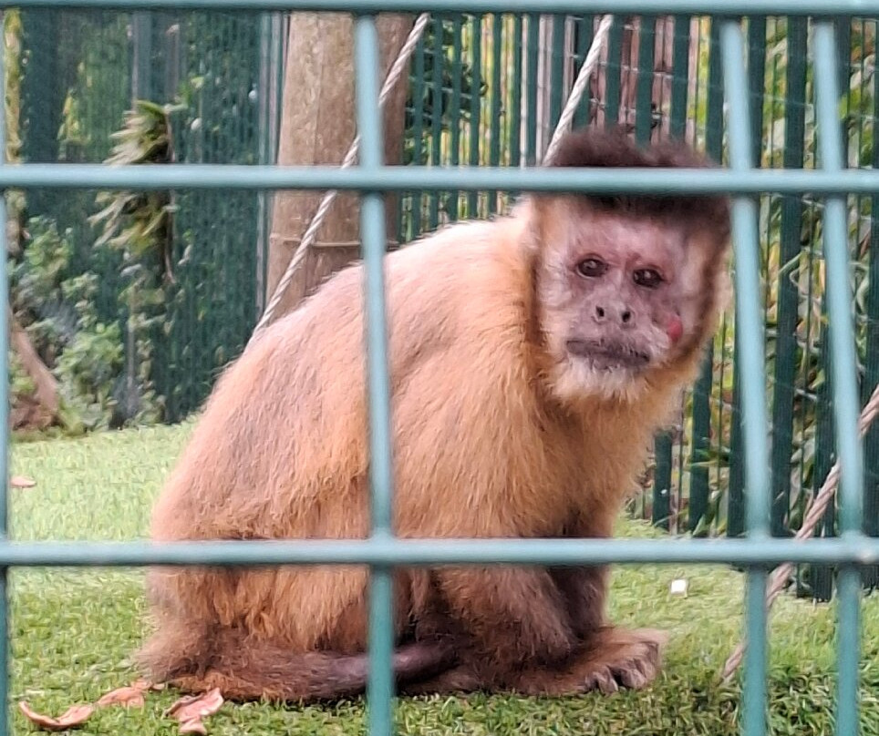 Wolds Wildlife Park-Horncastle必去景点
