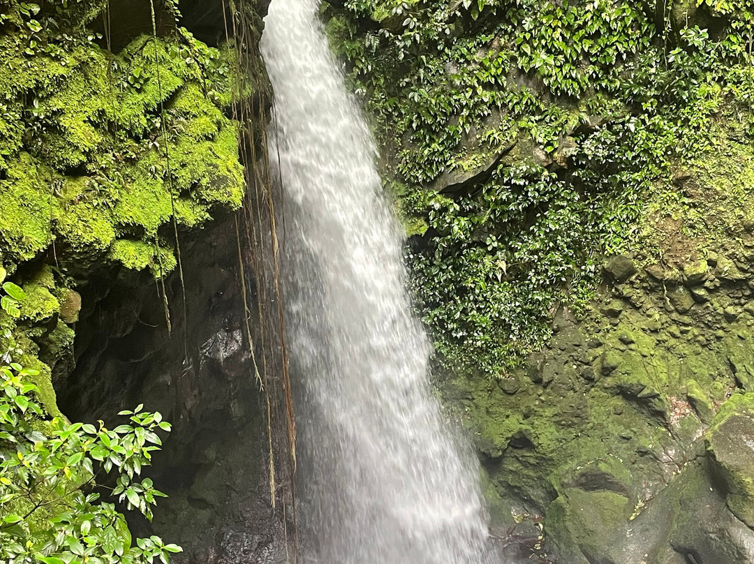 Goolonukos-塔马林多必去景点