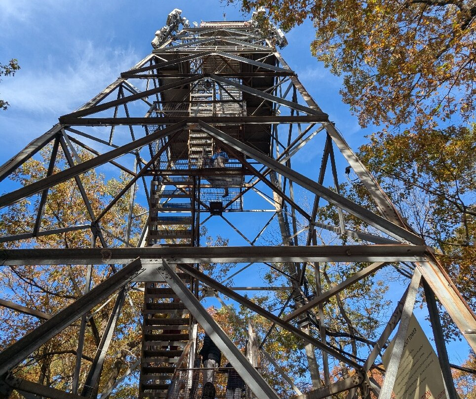 Dorset Scenic Lookout Tower-Dorset必去景点