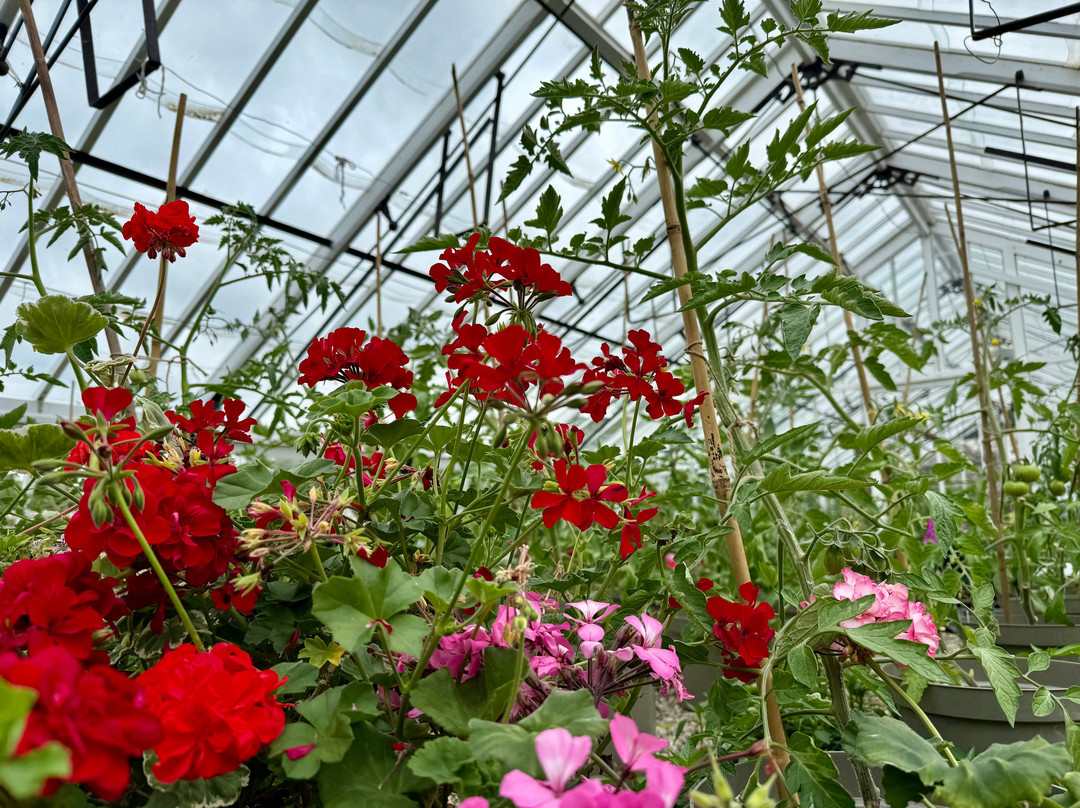 Clovelly Court Gardens-Clovelly必去景点