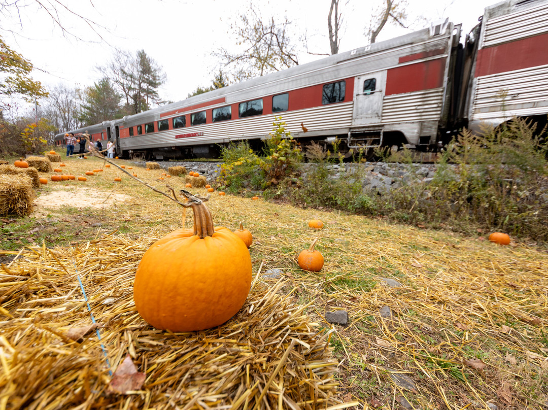 Delaware & Ulster Railroad-Arkville必去景点