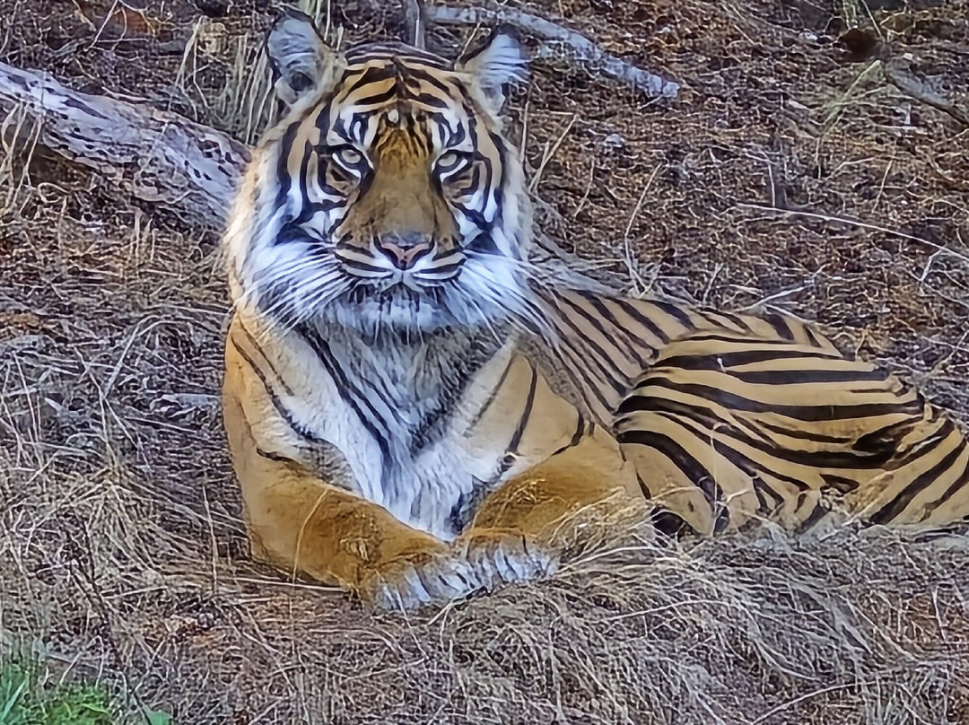 Point Defiance Zoo & Aquarium-塔科马必去景点