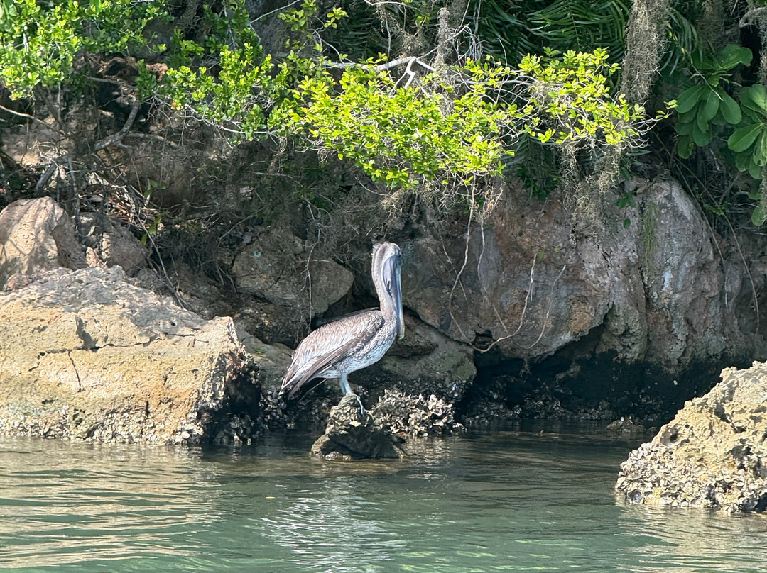 Sun Sand Spirit-圣多明哥必去景点