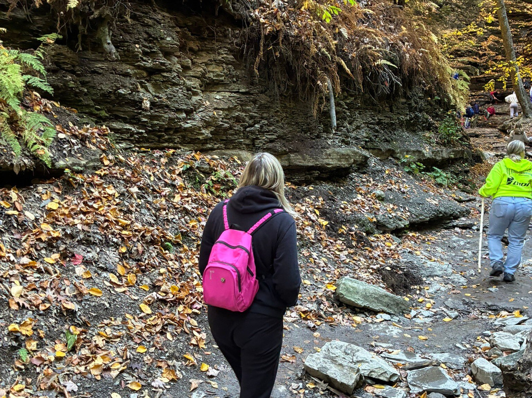 Eternal Flame Falls-Orchard Park必去景点