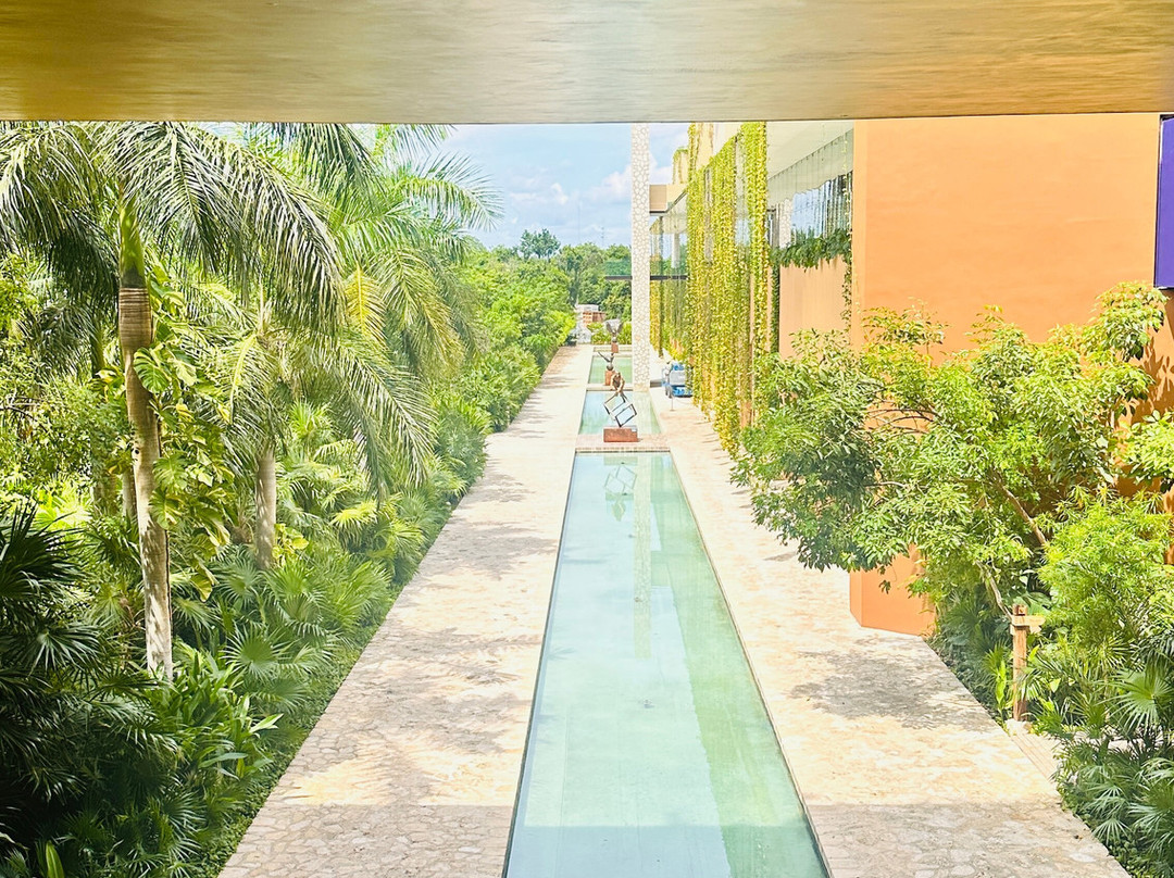 Hotel Xcaret Arte主图