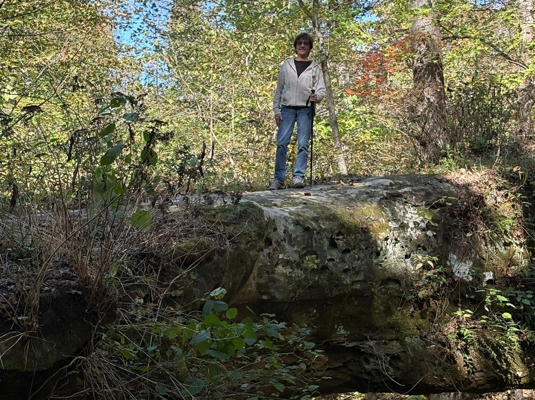 Pomona Natural Bridge-Pomona必去景点