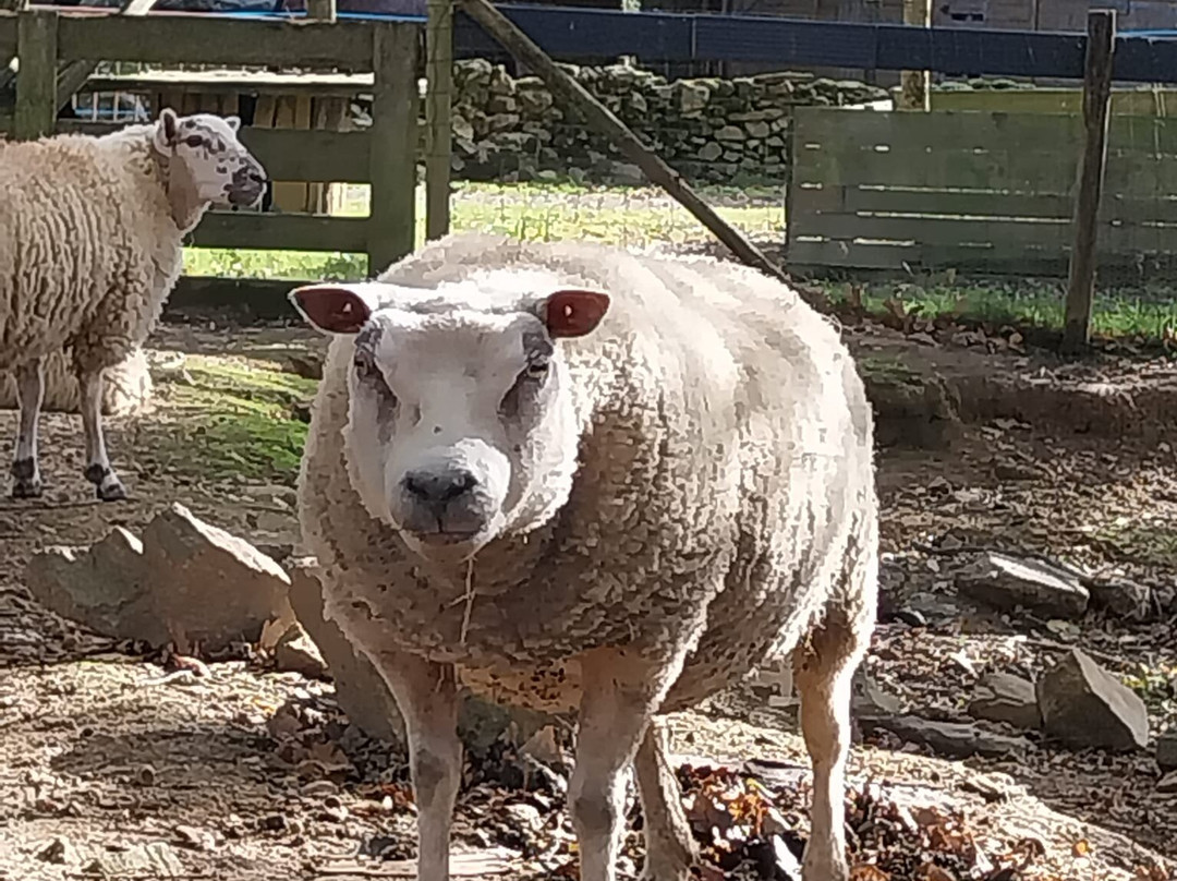 La Ferme Extraordinaire-Donges必去景点