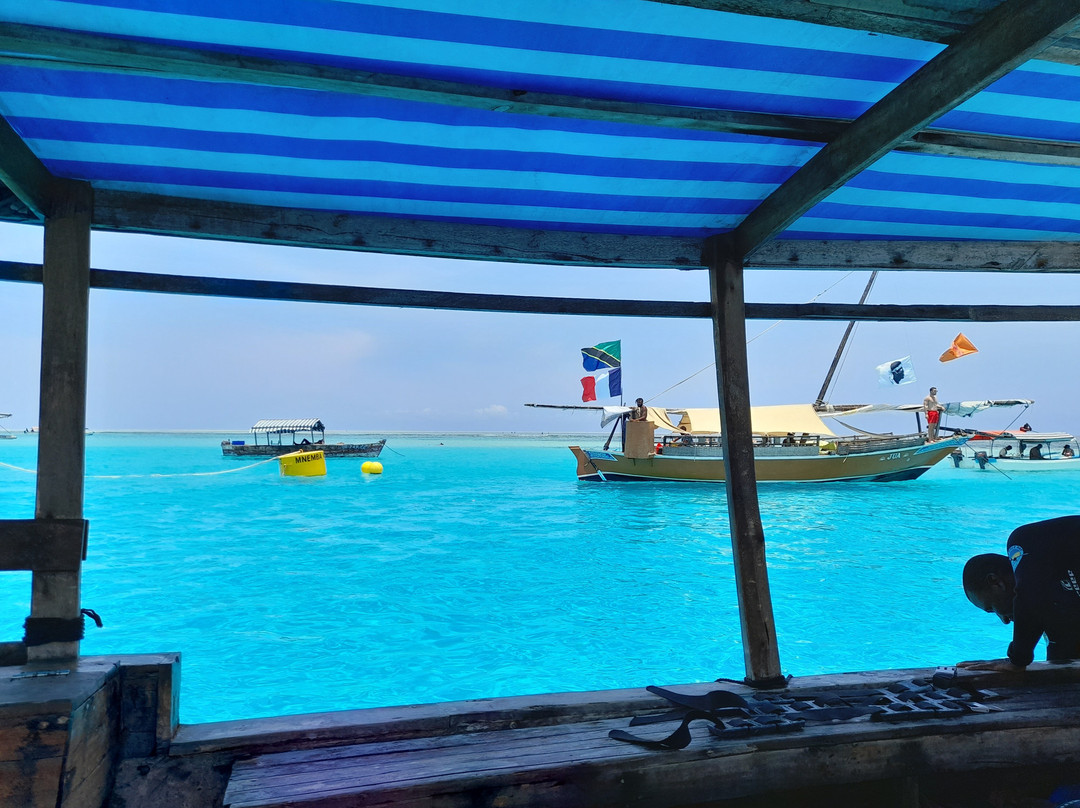 Eagle Ray Divers-Matemwe必去景点