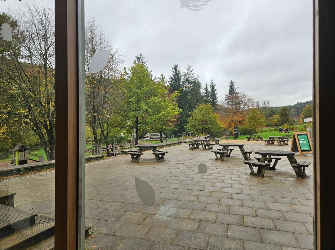 Dalby Forest-皮克灵必去景点