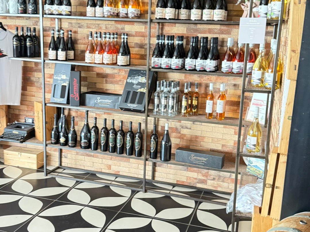 Sorrentino Winery-Boscotrecase必去景点