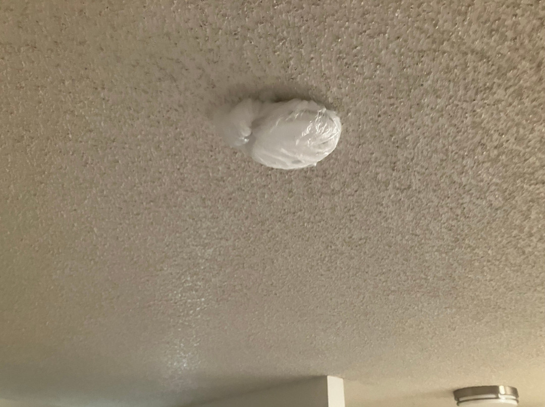 印度棕榈乡村俱乐部度假酒店主图