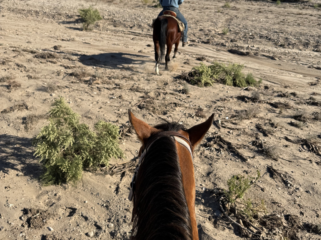 Kay El Bar Guest Ranch-Wickenburg必去景点