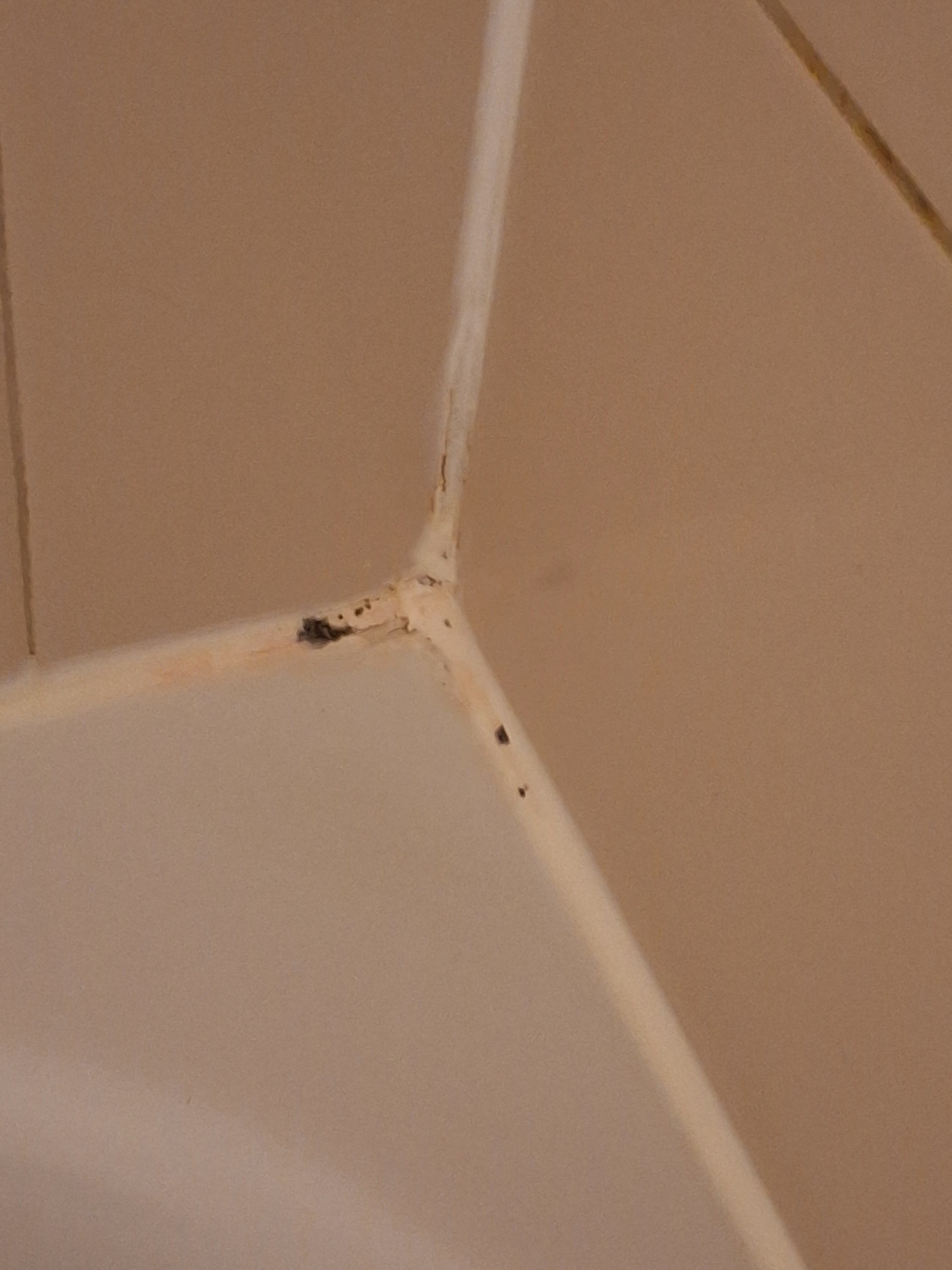 霍威尔快捷假日&套房酒店-浴室