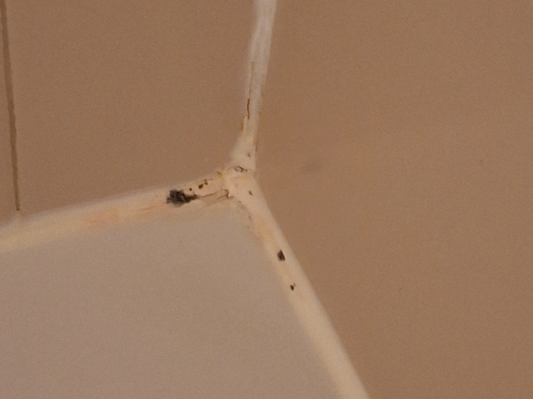 霍威尔快捷假日&套房酒店主图