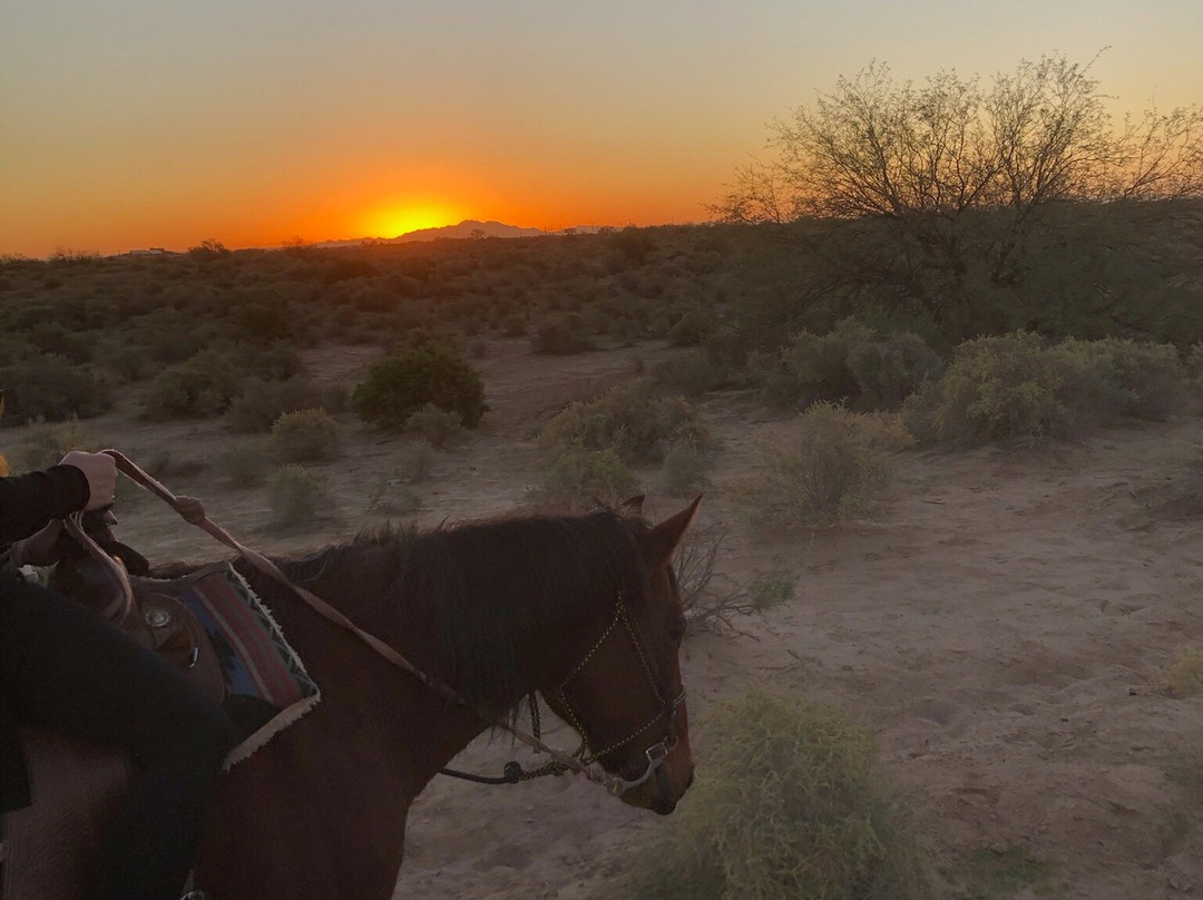 KOLI Equestrian Center-钱德勒必去景点