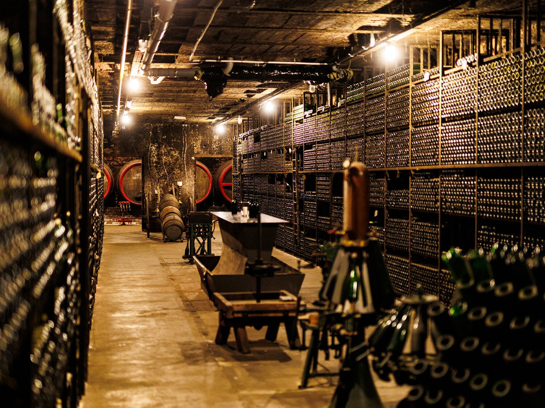 Wijnhuis Robbers en van den Hoogen-阿纳姆必去景点