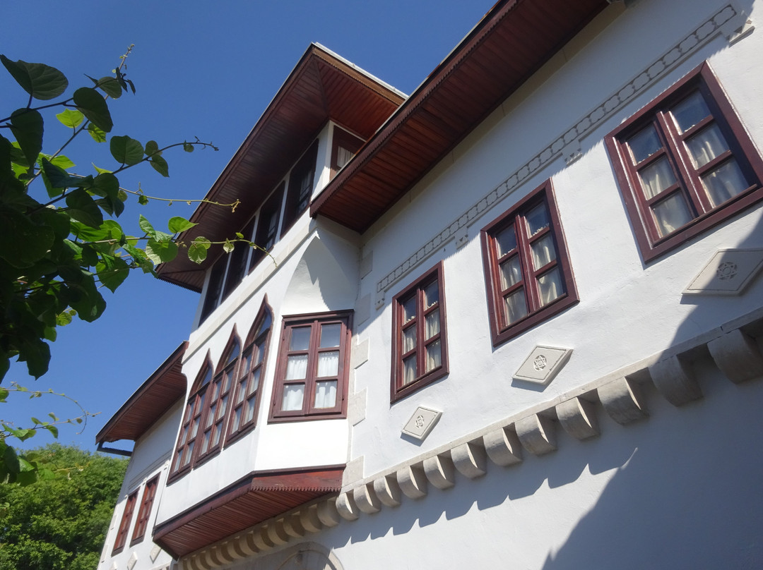 Bosnian National Monument Muslibegovic House-莫斯塔尔必去景点