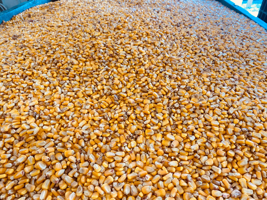 Nauti Spirits Distillery-Lower Township必去景点