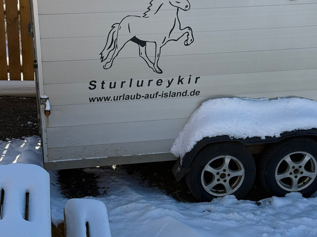 Sturlureykir Horses/Visiting HorseFarm-Reykholt必去景点