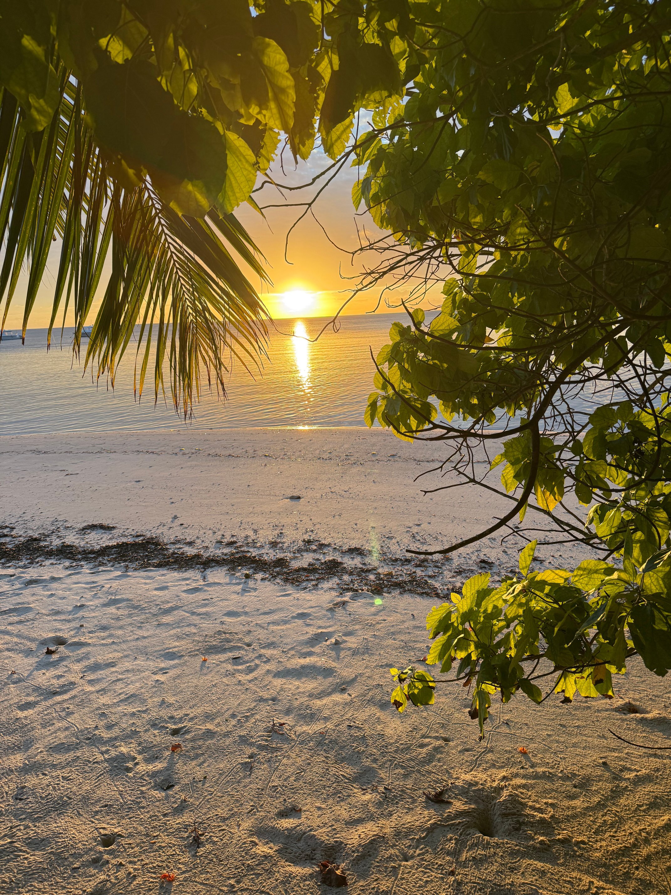 Waldorf Astoria Seychelles Platte Island-泳池