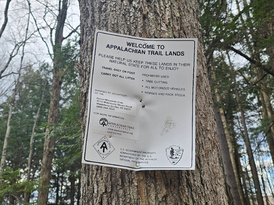 Best Western Inn & Suites Rutland-Killington主图