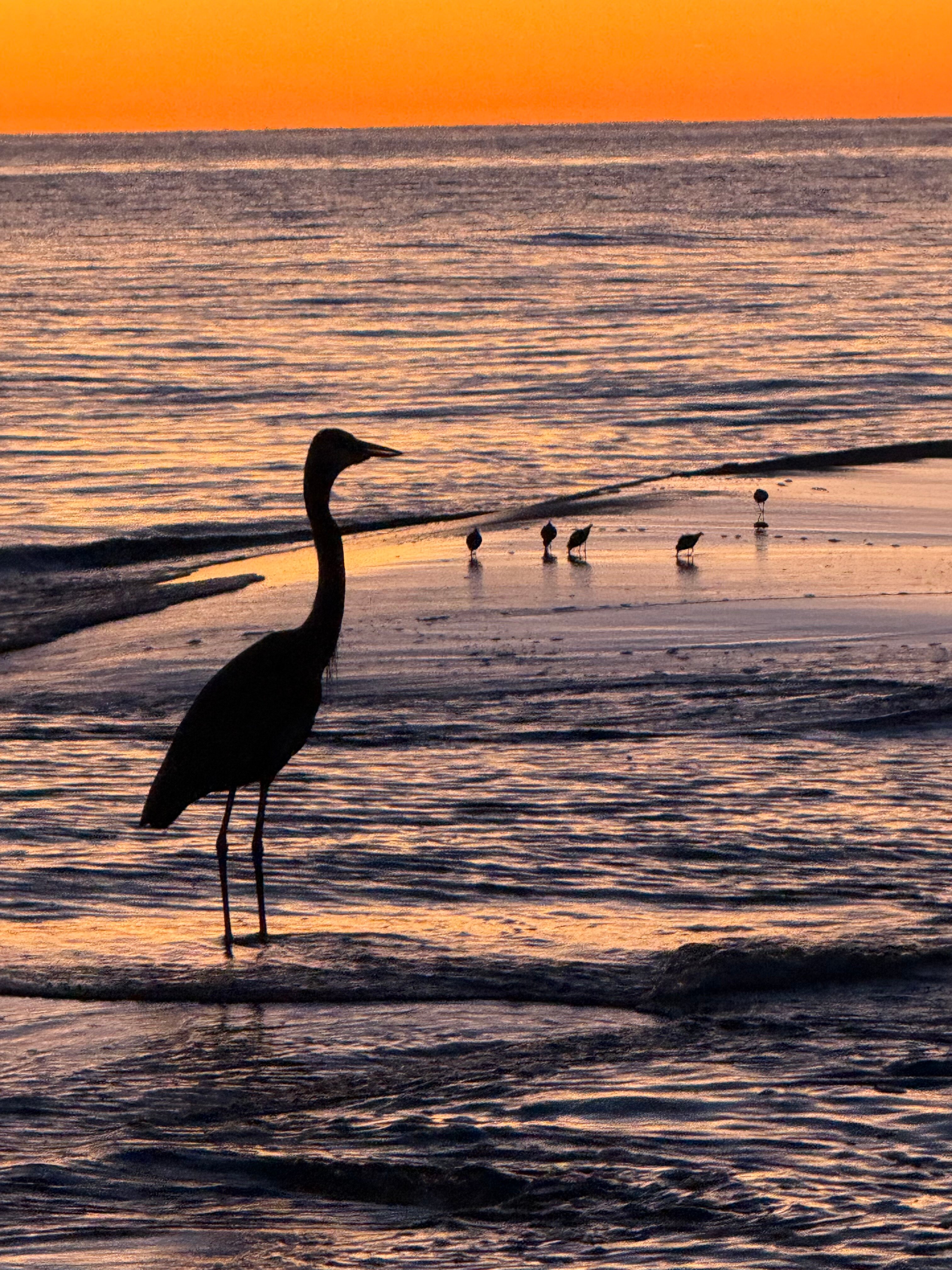 Camp Creek Inn-官方