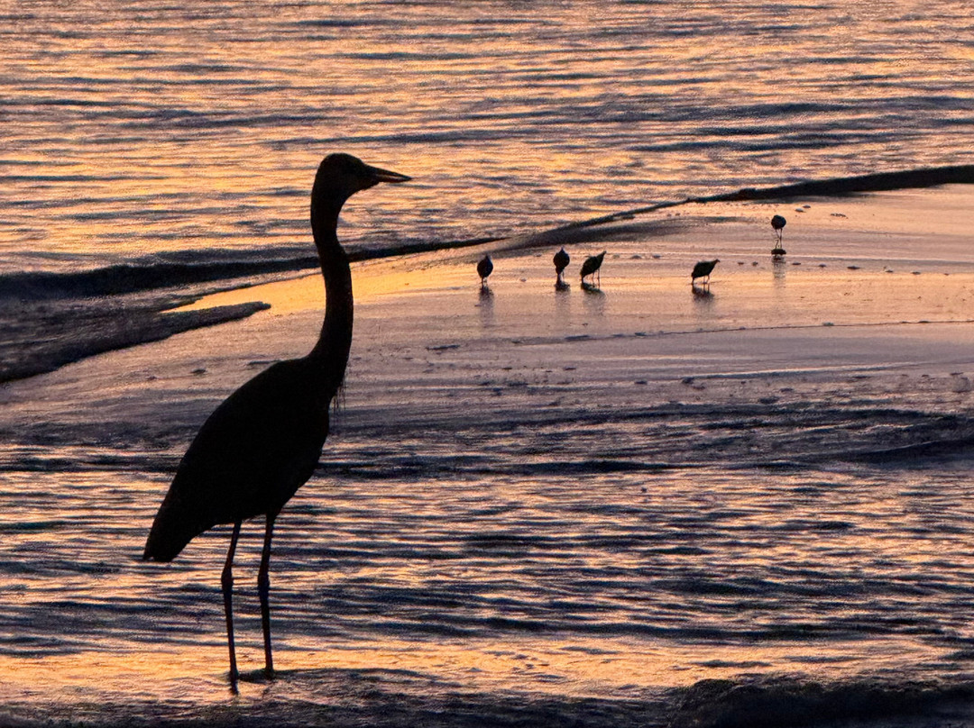 Camp Creek Inn主图