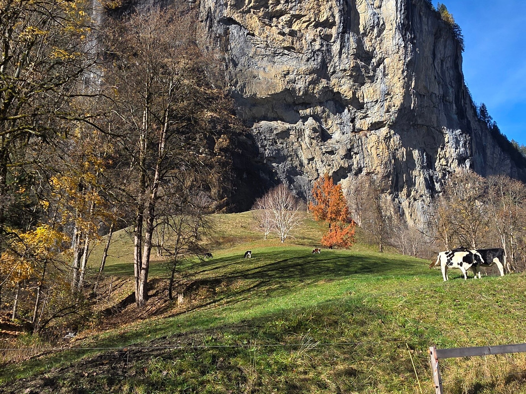 Swiss Epic Tours-苏黎世必去景点