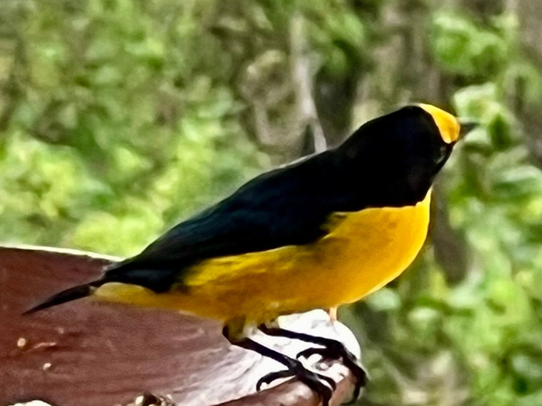 Hotel Canto das Aguas主图