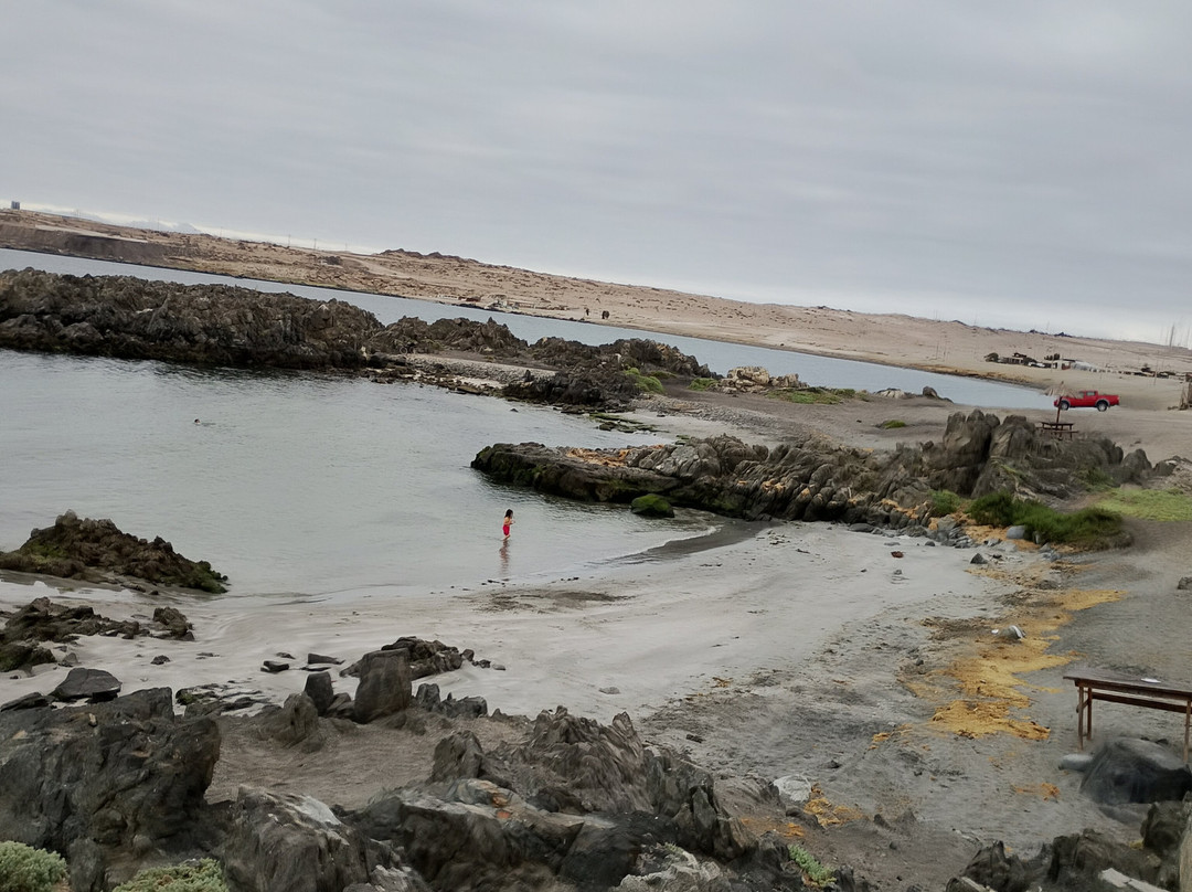 Bahia Inglesa-Copiapo必去景点