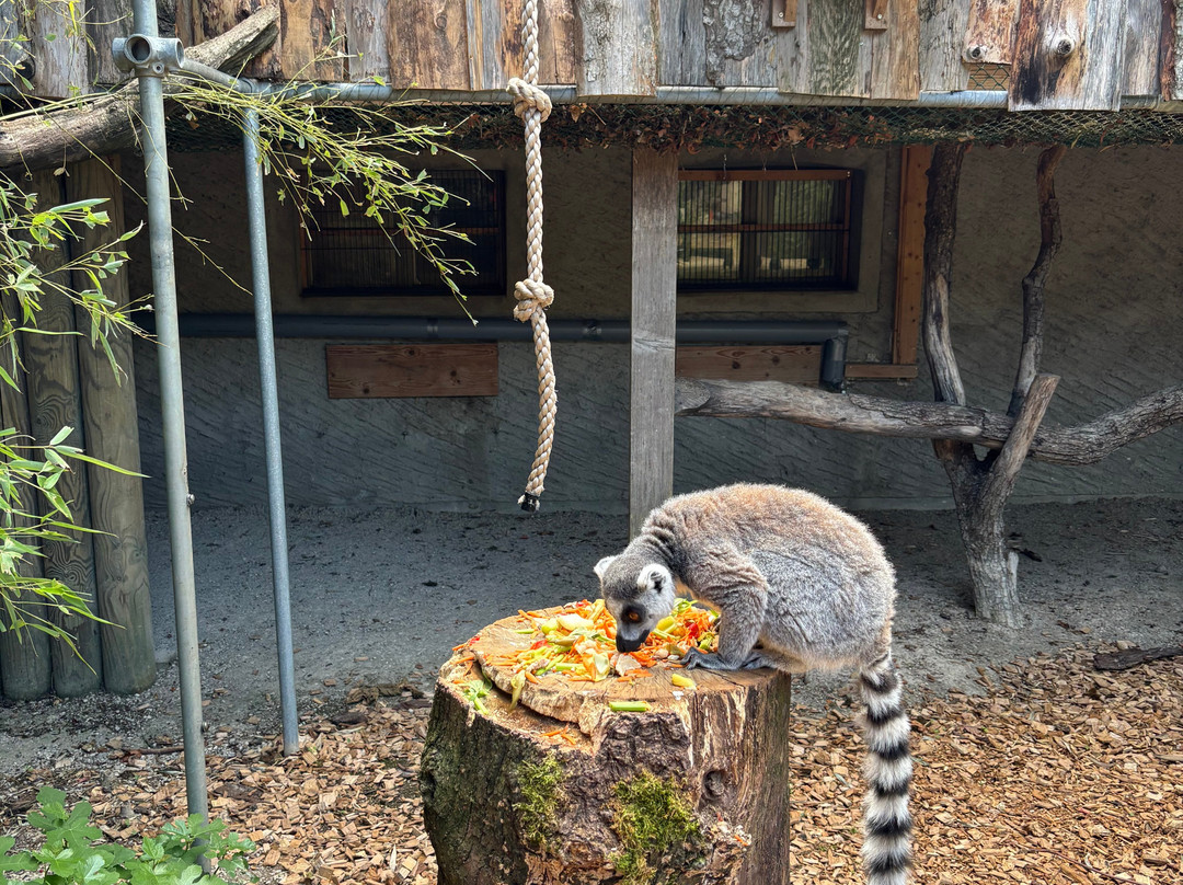 Bioparc Genève Pierre Challandes-Bellevue必去景点