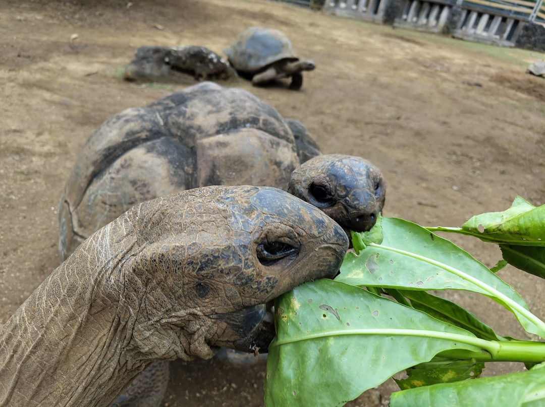 拉凡尼勒自然公园-里维耶尔德桑吉耶必去景点